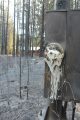 Fire Charred Power Meter Rim Fire