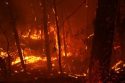 Burning Op Fire at Night Rim Fire 08-30-13