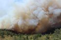 Column Below Road 20 Rim Fire 08-30-13
