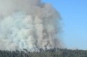 South Flank Burn Ops Rim Fire 08-30-13