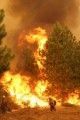 Hotshot Dwarfed By Fire