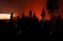 Twilight on Rim Fire