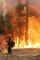 Rim Fire Drip Torch Man and Fire