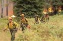 Rim Fire Horseshoe Meadow IHC Squad