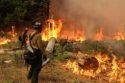 Rim Fire Burnout off Highway 120