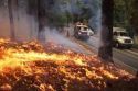 Rim Fire Engines and Burn Ops