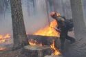 Rim Fire Log Hopping