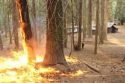 Rim Fire Burn Ops at Crane Flat Station