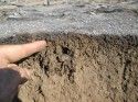 Example Of Rim Fire Soil Damage