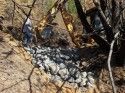 Erosion Control Measures In Stanislaus National Forest