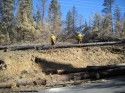 BAER Team Work In Forest3