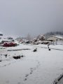 Snow in Tuolumne and Calaveras