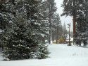 Dorrington Snow Accumulation