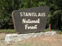 Forest Wants Public Thoughts On Trails And Biking