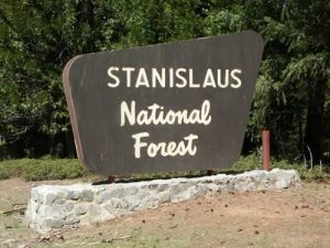 Stanislaus National Forest