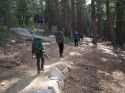 Hiking in the Sierra