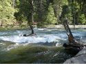 Merced River