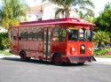 Trolley Bus.jpg