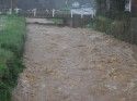 Flood News Archive Photo
