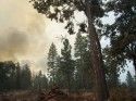 Knight Fire