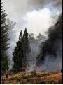 Knight Fire