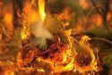 Knight Fire