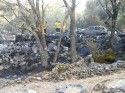 Gold Springs Ranch Fire