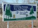SPI Reopens Forestlands For Recreation