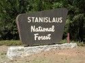 Stanislaus National Forest