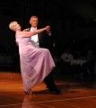 Hajduks - Fox Trot Winners