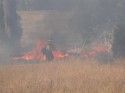 Big Meadow Fire