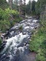 South Fork Stanislaus River