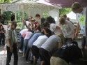 Calaveras Grape Stomp
