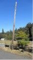 Power Lines Down