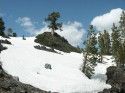 Ebbets Pass Snow