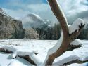 Yosemite - Half Dome From Cooks Meadow