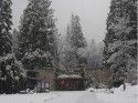 Yosemite Winter