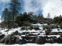 Snow In Sierra