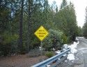 Hwy 108 Fuel Reduction Before