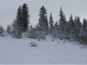 Snowfall - Little Sweden