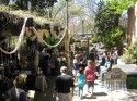 Sonora Spring Festival
