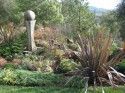 Bell Garden Flax