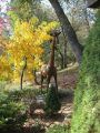 Courts' Garden Giraffe