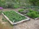 DeAnda Veggie Garden