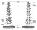 Cell Phone Tower Design