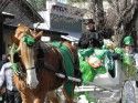 Murphys Irish Day Parade