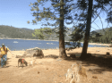 Pinecrest Lake water levels