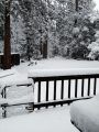 Snow Above Twain Harte