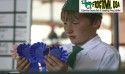 Calaveras County Fair Livestock Auction
