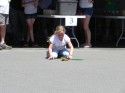 Calaveras County Fair and Jumping Frog Jubilee